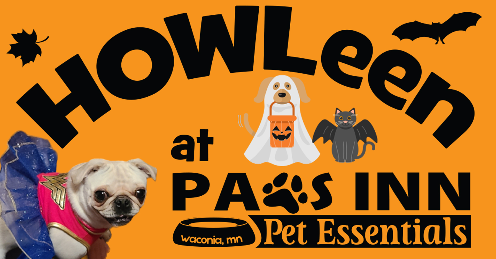 Howleen at Paws Inn Pet Essentials