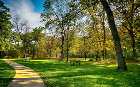 Paved walking path through a park